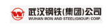 武汉钢铁