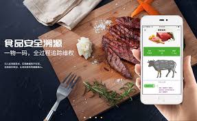 营养搭配APP开发：功能、策略与市场
